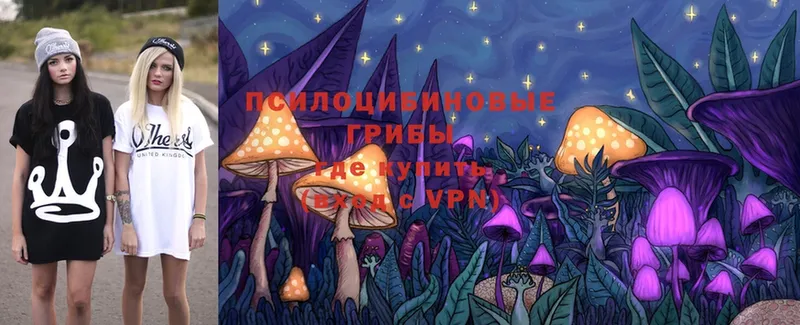 маркетплейс Telegram  Калтан  Псилоцибиновые грибы Psilocybe 